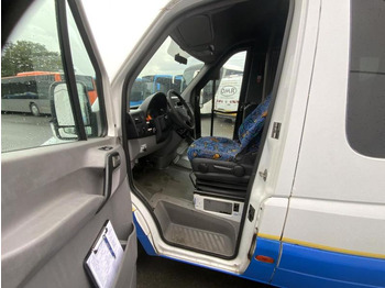 Minibus, Mikrobus Mercedes Sprinter 519 CDI: obrázek 5