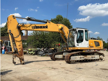 Pásové rýpadlo LIEBHERR R 924