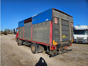 Přepravník zvířat Mercedes-Benz Atego 1523 // Livestock // Tiertransport: obrázek 2