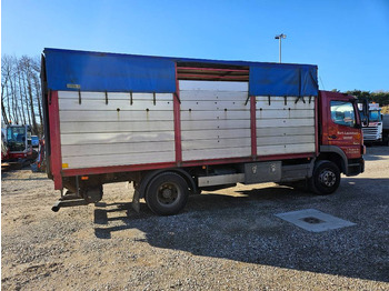 Přepravník zvířat Mercedes-Benz Atego 1523 // Livestock // Tiertransport: obrázek 5