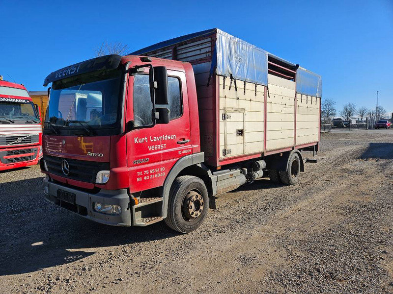 Přepravník zvířat Mercedes-Benz Atego 1523 // Livestock // Tiertransport: obrázek 7